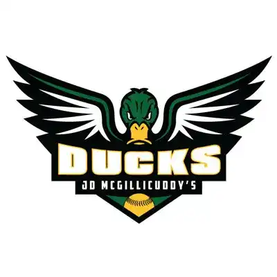 ducks dj mcgillicuddy's company logo