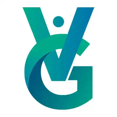 v&g financial partners company logo