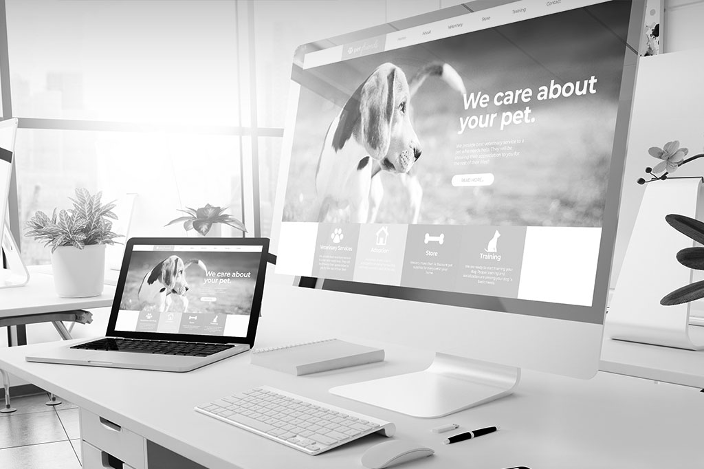 Web Development Client Site