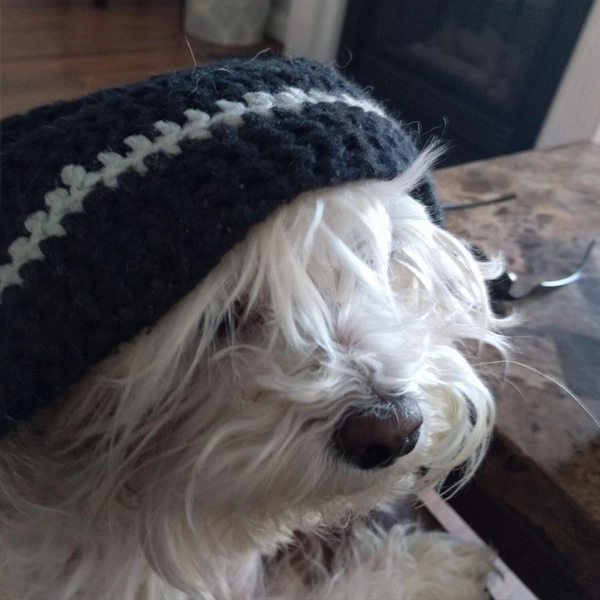 blumoo creative logo