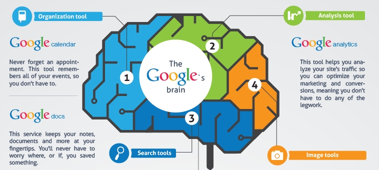 google infographic within a brain