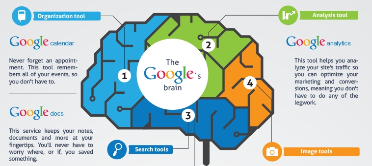 Your Brain on Google google infographic within a brain
