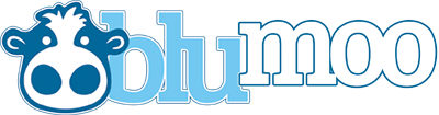 blumoo tools logo