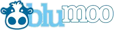 Blumoo Creative Digital Marketing